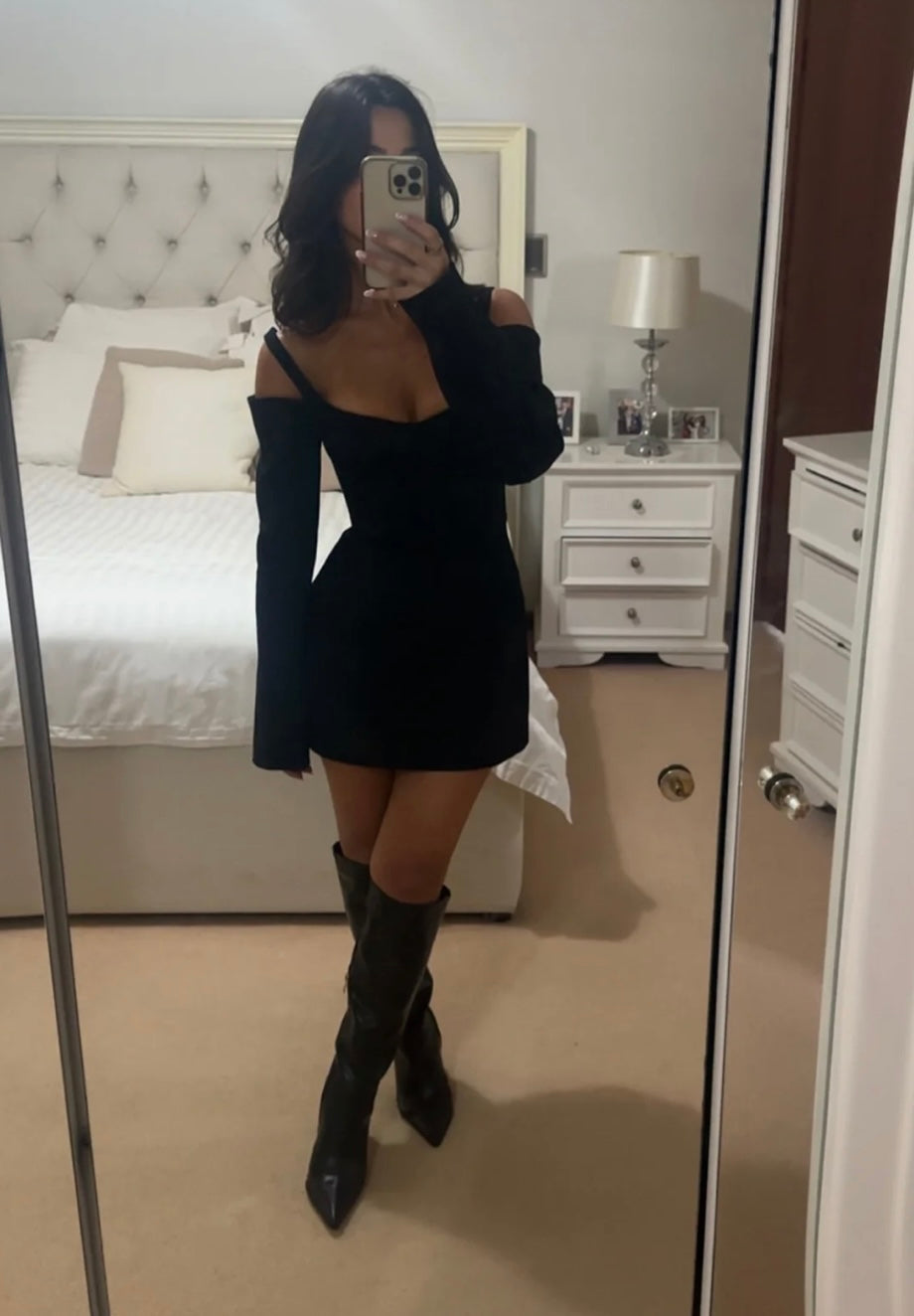 *Sandrine Mini- SIR